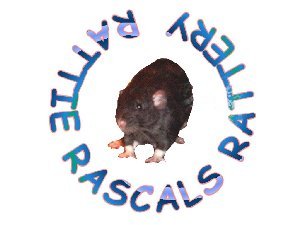 rattie rascals.jpg (13746 bytes)
